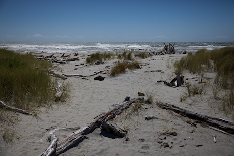 Haast Beach