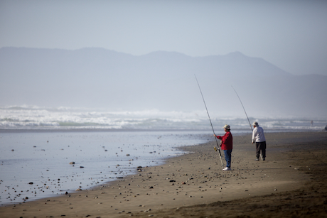 Catching fish