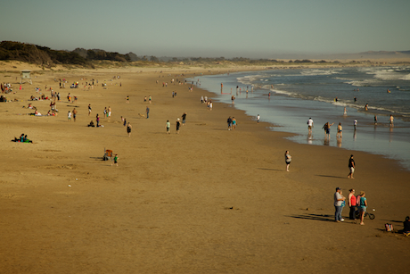 Pismo State Beach